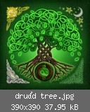 druïd tree.jpg